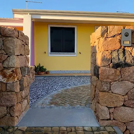 Orchidea Porto Pino SantʼAnna Arresi