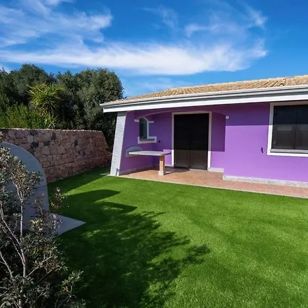 Orchidea Porto Pino * SantʼAnna Arresi